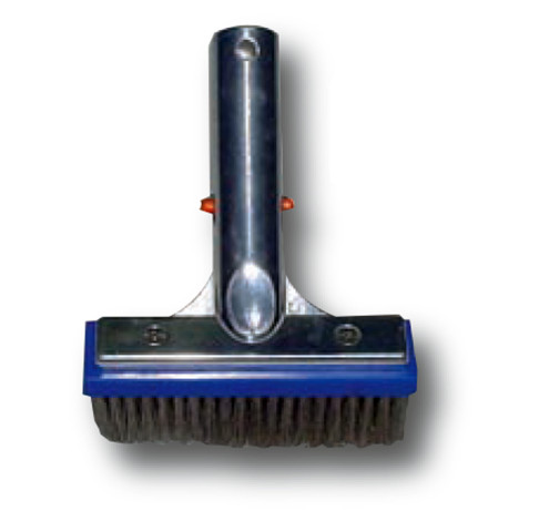 Dayliff Algae Wall Brush                                          