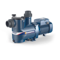 Pedrollo Magnifica 2HP Pool Pump